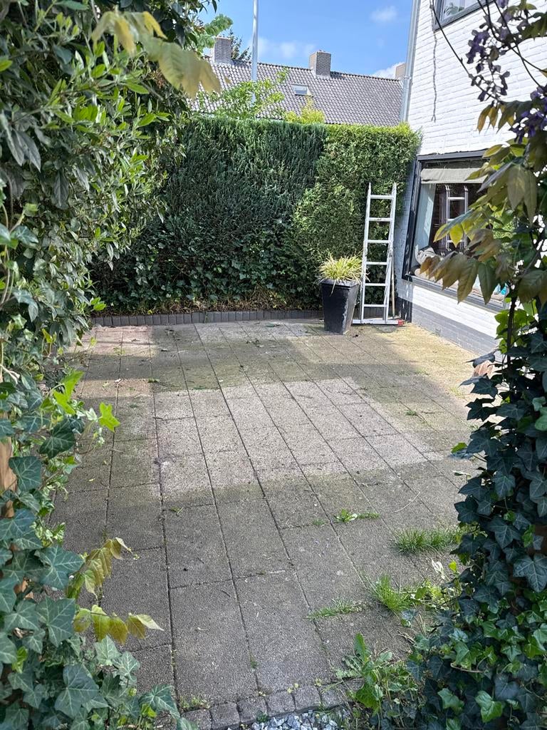 Terrastegels 60x30 cm - 25 m2 gratis af te halen, Tuin en Terras, Tegels en Klinkers, Ophalen, Gebruikt, 10 m² of meer, Beton