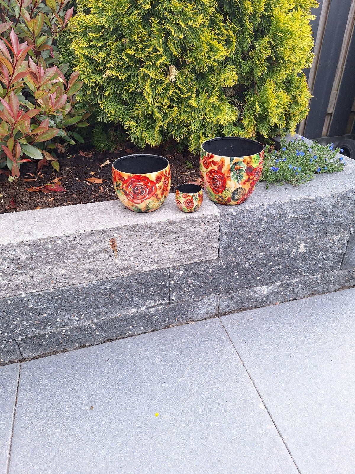 Set van 3 bloempotten met opdruk voor kamerplanten, Ophalen, Halfschaduw, Minder dan 100 cm