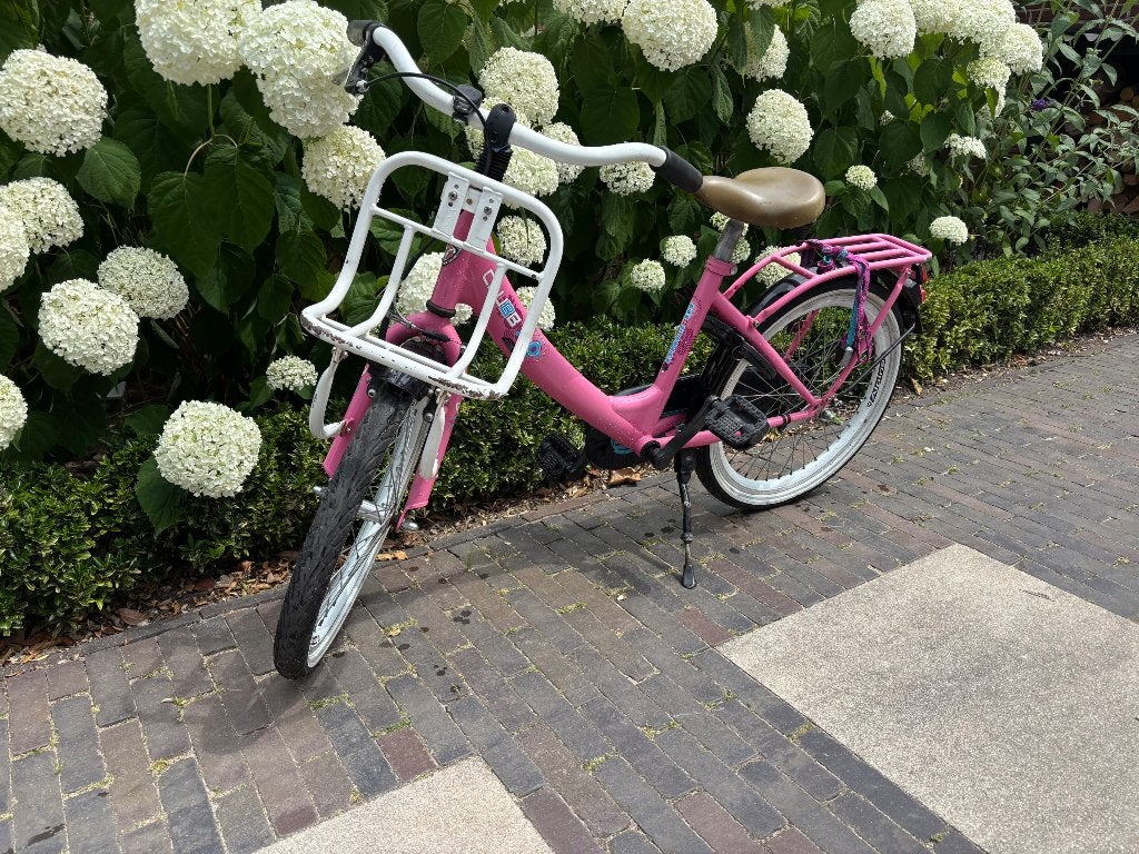 Alpina Clubb 20 inch roze, Terugtraprem, Alpina, Ophalen of Verzenden, 16 tot 20 inch