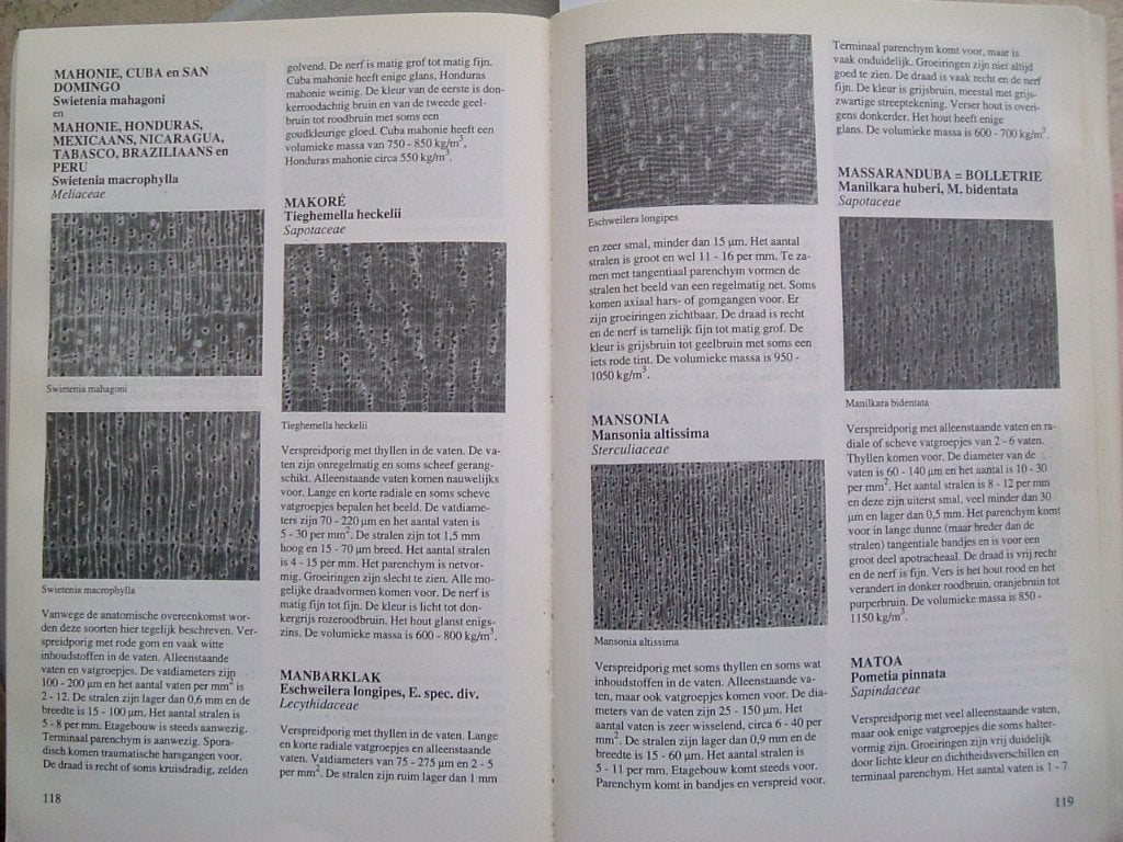 Hout herkennen. Aanvulling op houtvademecum., Boeken, Gelezen, Ophalen of Verzenden, R. van der Zwan, Bouwkunde