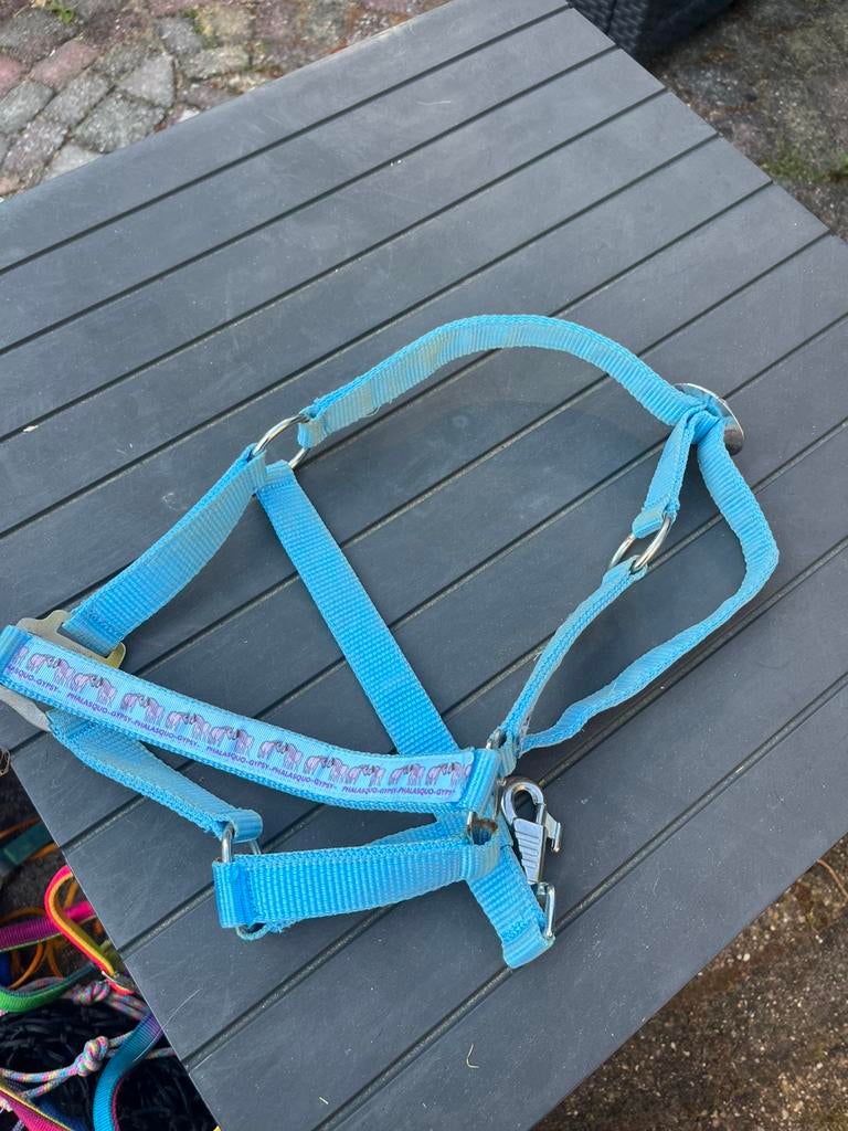 Goedkope Halsters, Dieren en Toebehoren, Ophalen of Verzenden, Zo goed als nieuw, Overige soorten