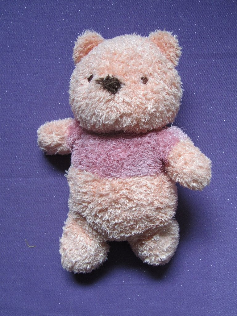DISNEYLAND Knuffel BEER WINNIE DE POOH. 28 CM **Nieuw**, Disney, Beer, Nieuw, Ophalen of Verzenden