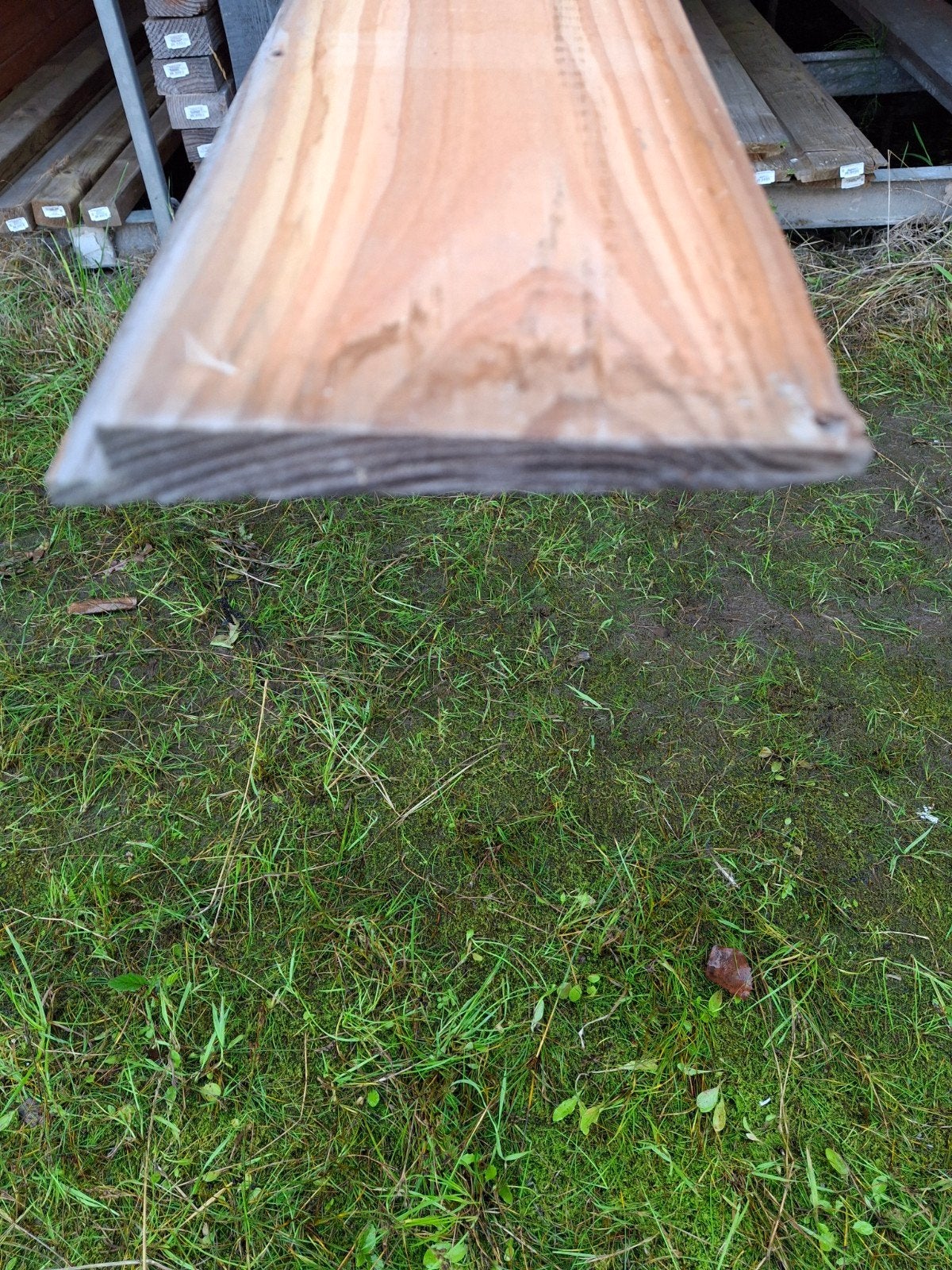 Houten plank - Douglas -  nieuw, Ophalen, Nieuw, 250 cm of meer, Planken