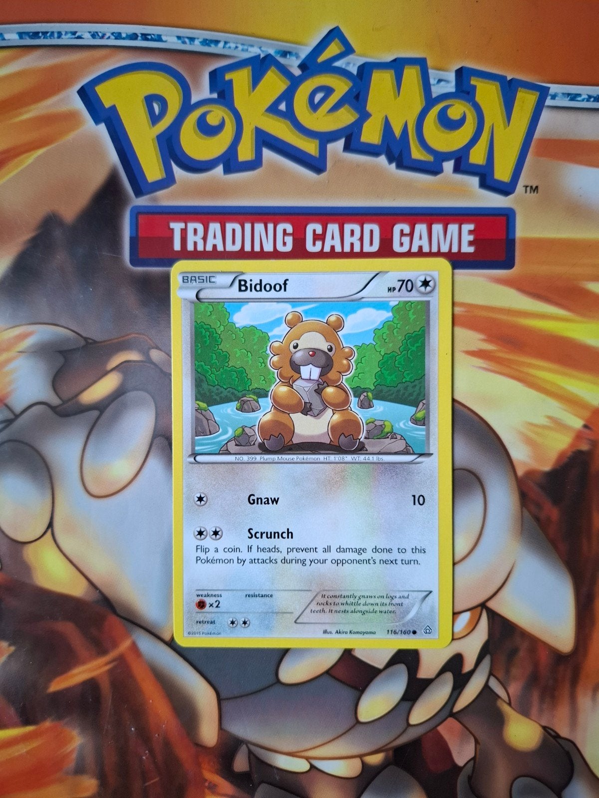 Bidoof 116/160 XY Primal Clash pokemon kaart, Ophalen of Verzenden, Zo goed als nieuw, Losse kaart