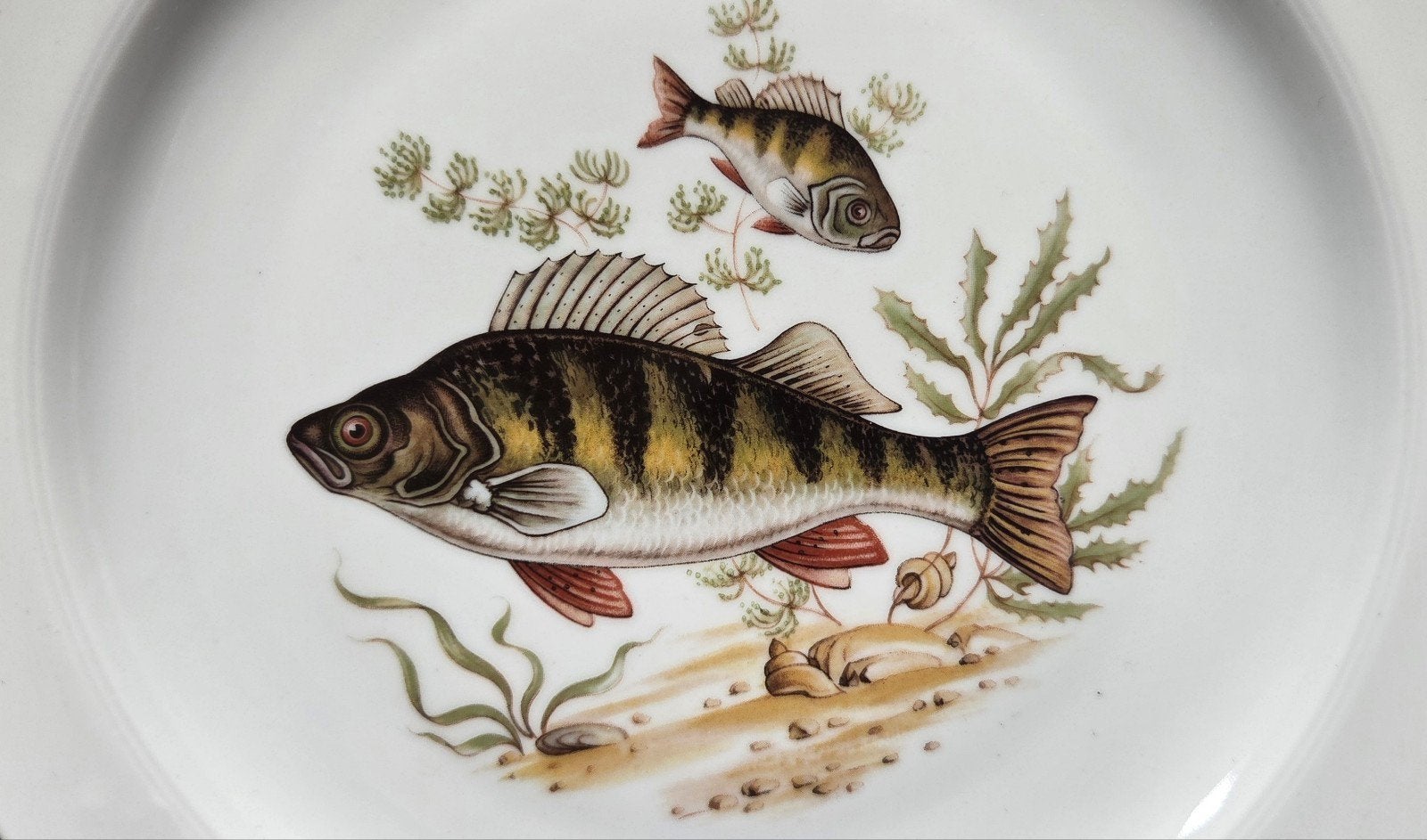 Borden schalen serveerbord servies met vis motief nieuw, Ophalen, Nieuw, Overige typen
