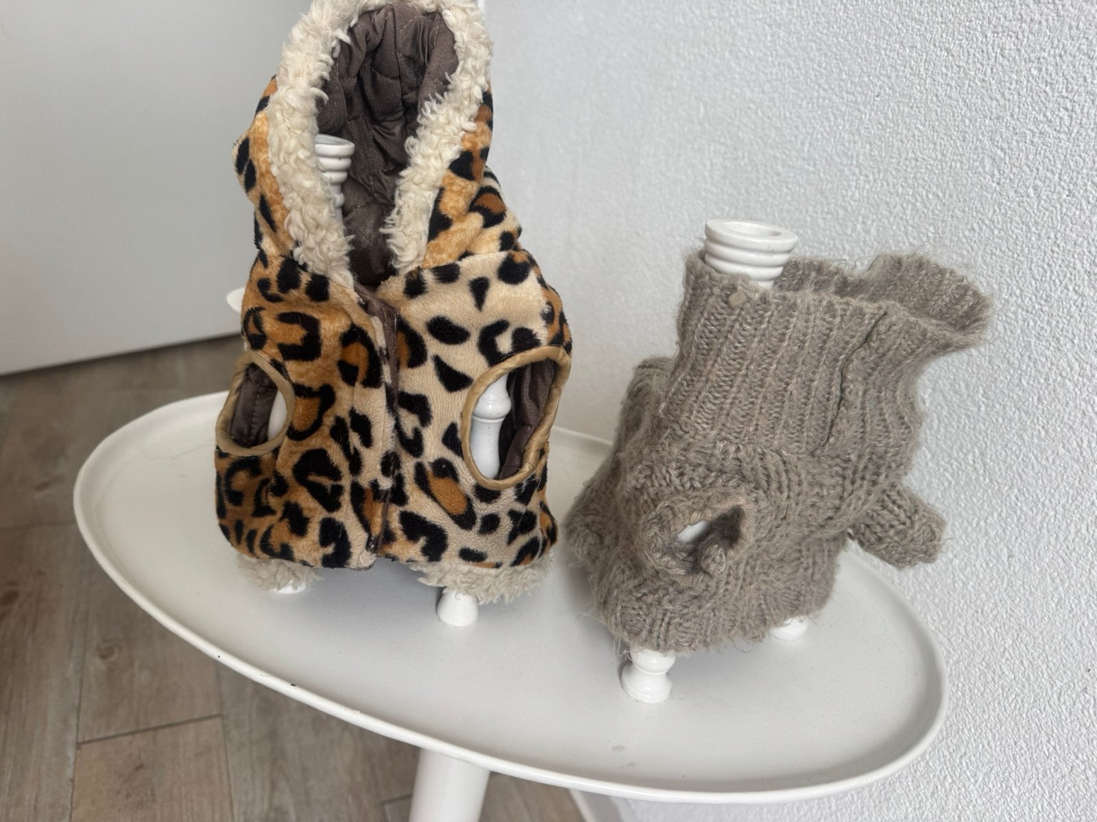 Voor n chiujuahua, Ophalen of Verzenden