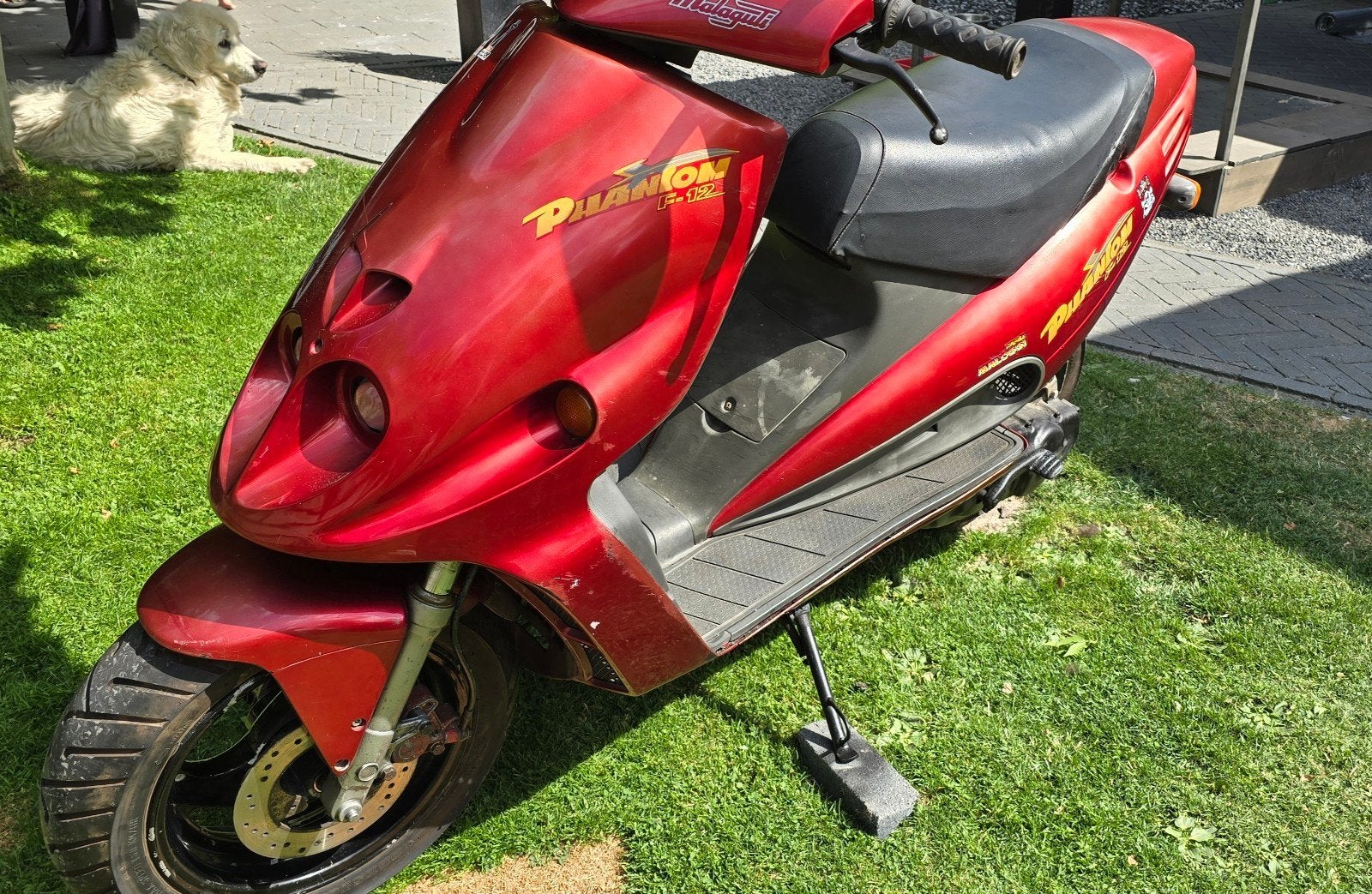 Malaguti phantom 1996 opknapper, Fietsen en Brommers, Scooters | Overige merken, Gebruikt, Maximaal 45 km/u, Benzine, Ophalen