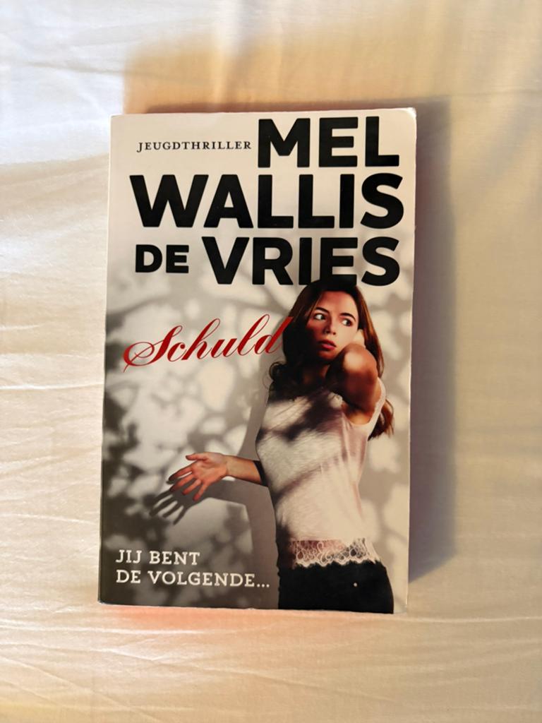 Schuld - Mel Wallis de Vries, Ophalen of Verzenden, Fictie, Mel Wallis de Vries, Zo goed als nieuw