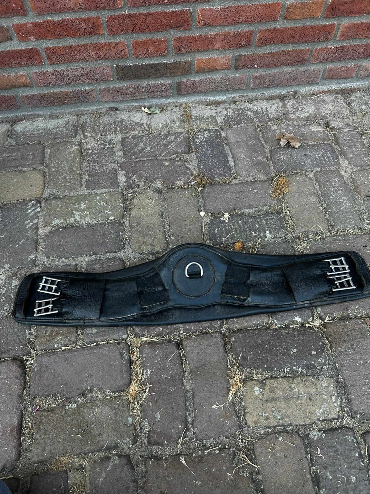 Tess products dressuursingel elastiek 65 cm, Dieren en Toebehoren, Gebruikt, Ophalen of Verzenden, Zwart, Singel
