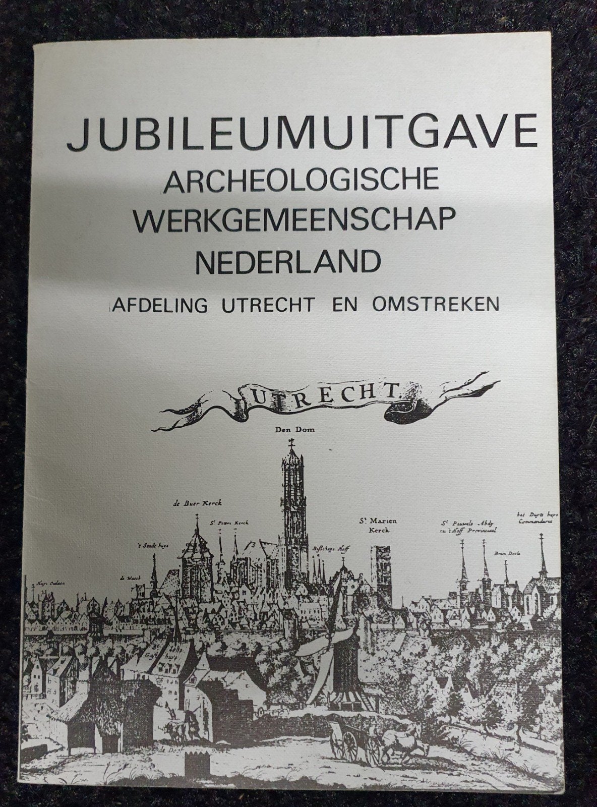 Jubileumuitgave Archeologische Werkgemeenschap Nederland, Ophalen of Verzenden, 20e eeuw of later, Gelezen, Diverse auteurs