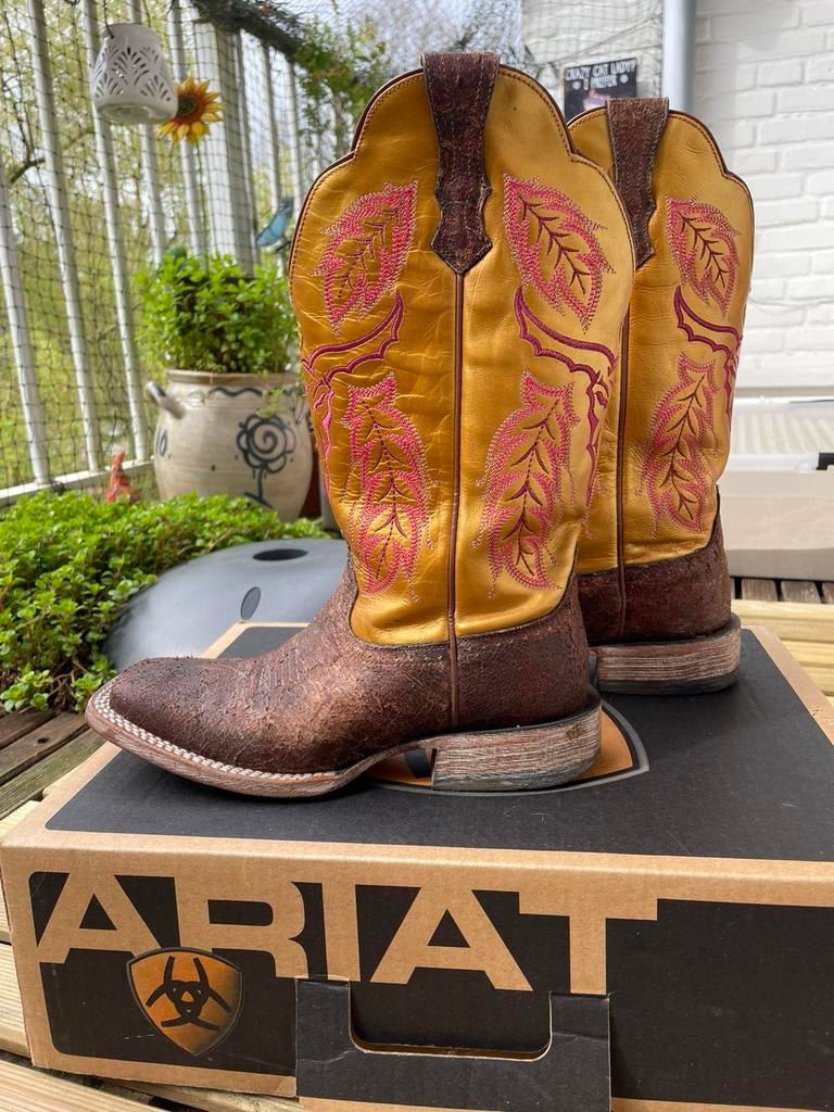 Supergave Ariat western/cowboy boots!, Kleding | Dames, Schoenen, Ophalen of Verzenden, Zo goed als nieuw, Overige kleuren, Hoge laarzen