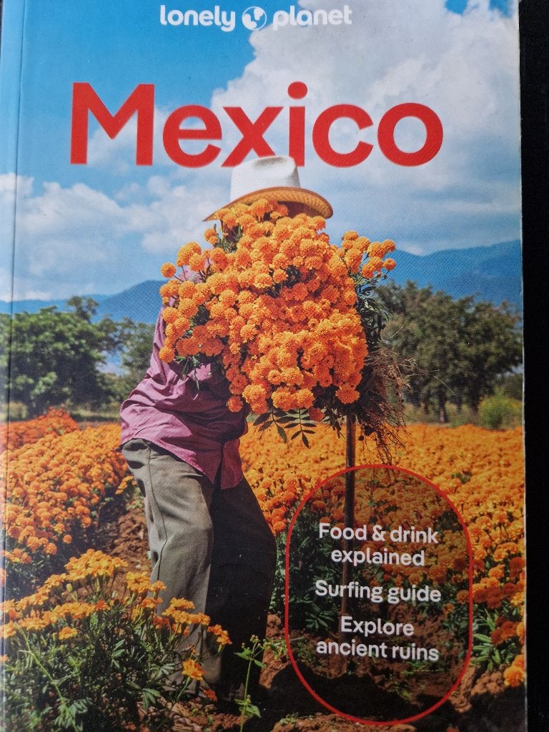 Lonely Planet Mexico, editie oktober 2025. Gebruikt., Lonely Planet, Zo goed als nieuw, Reisgids of -boek, Lonely Planet