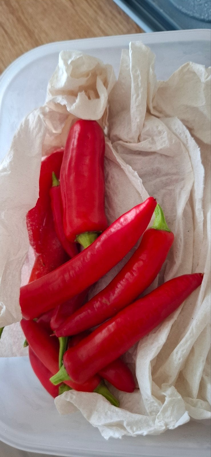Ingevroren hot chili red pepers – €0,30 per stuk, Ophalen
