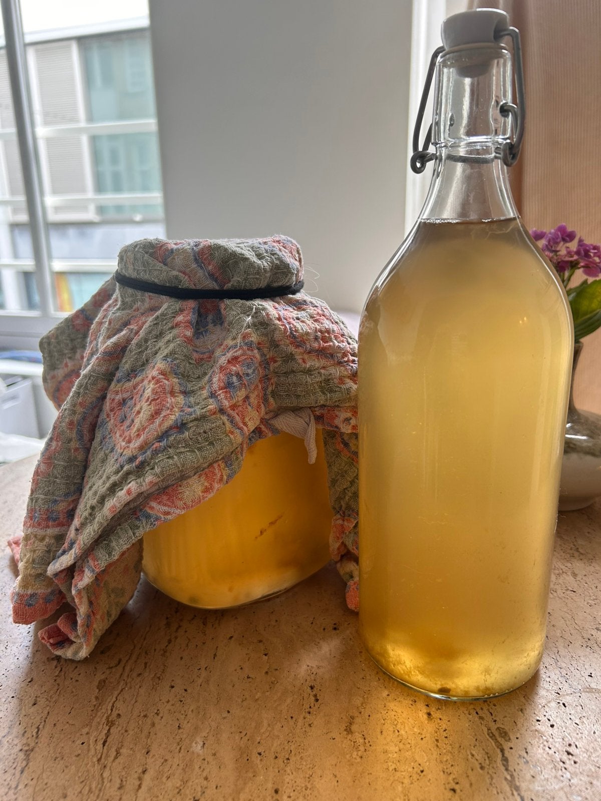 Scoby voor kombucha, Diversen, Levensmiddelen, Ophalen