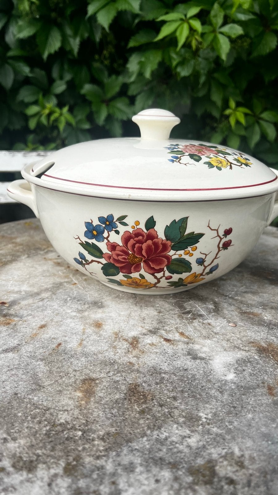 Villeroy & Boch Mettlach Florida soepterrine, Ophalen of Verzenden