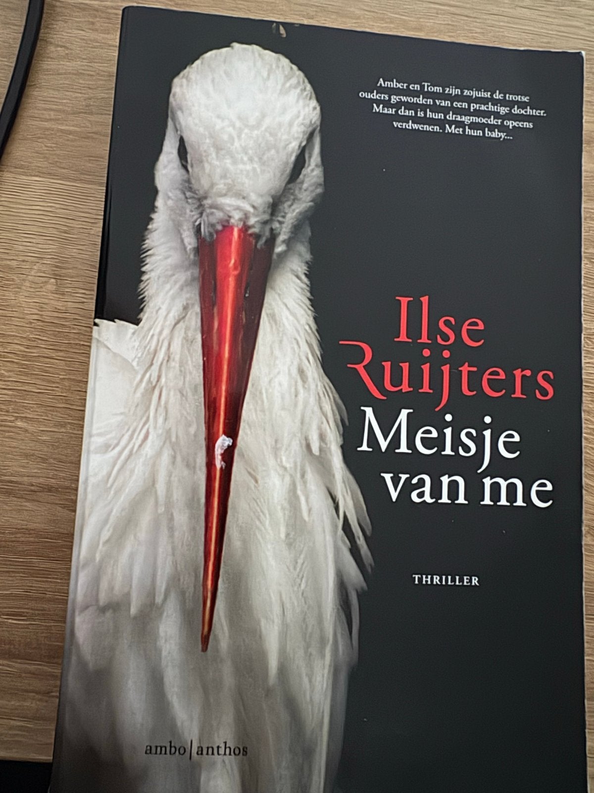 Meisje van me - Ilse Ruijters (Thriller), Ophalen of Verzenden, Gelezen, Nederland