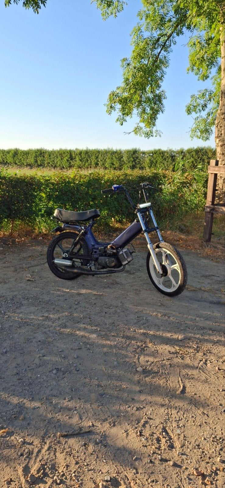 Tomos A35  airsal 65cc, Gebruikt, 65 cc, Ophalen of Verzenden, 2 versnellingen