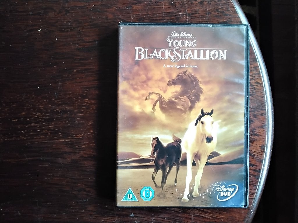Young Black stallion, met Nederlandse ondertiteling, origine, Alle leeftijden, Ophalen of Verzenden, Zo goed als nieuw