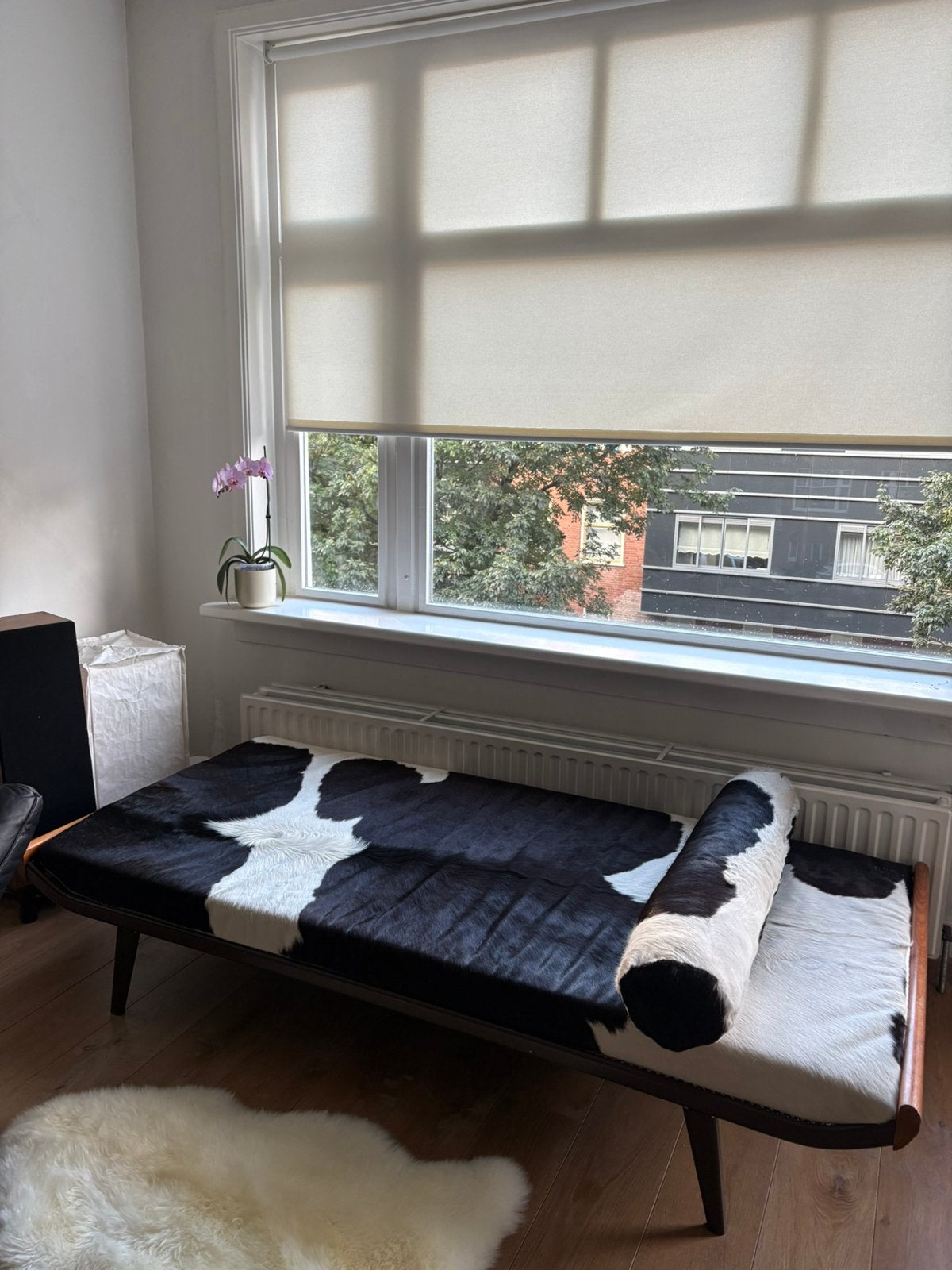 Auping Cleopatra Daybed in cow hair, Huis en Inrichting, Ophalen, Eenpersoons, 150 tot 200 cm, Zo goed als nieuw