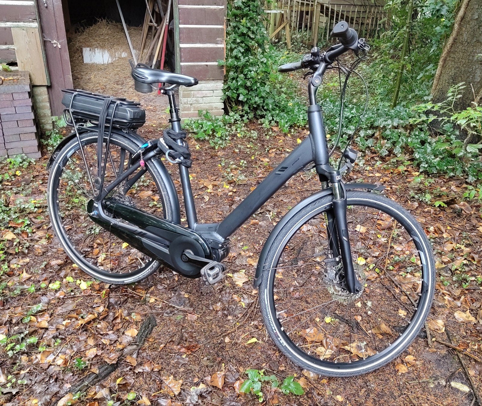 GIANT Entour E, Fietsen en Brommers, Ophalen, Gebruikt, Giant, 51 tot 55 cm
