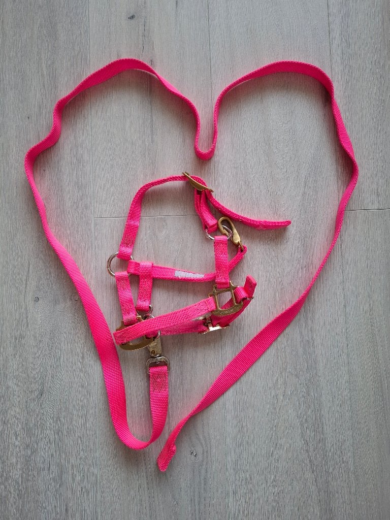 Fluoroze halstertje te koop, helemaal hip!, Gebruikt, Roze, Verstelbaar, Overige merken