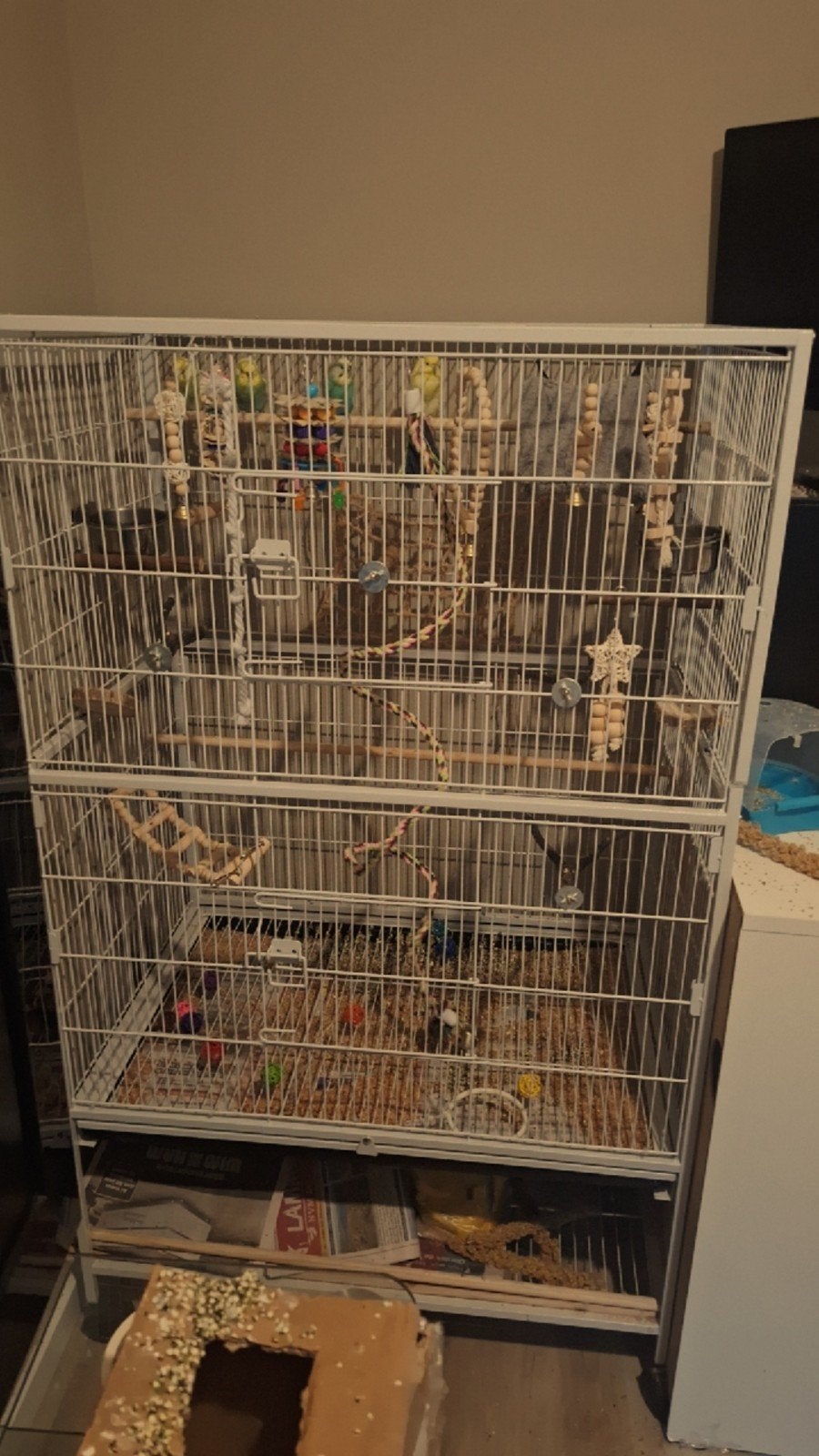 Vogel kooi, Ophalen of Verzenden, Zo goed als nieuw, Metaal, Vogelkooi