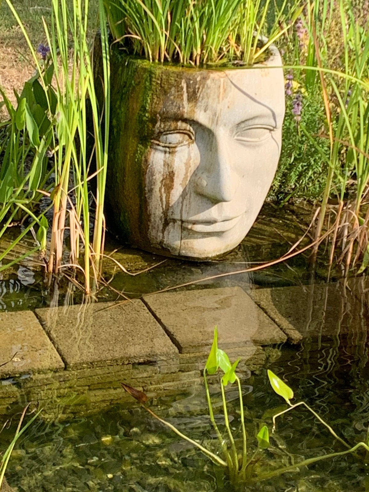 Op zoek naar deze pot ., Rond, Zo goed als nieuw, Tuin, Aardewerk
