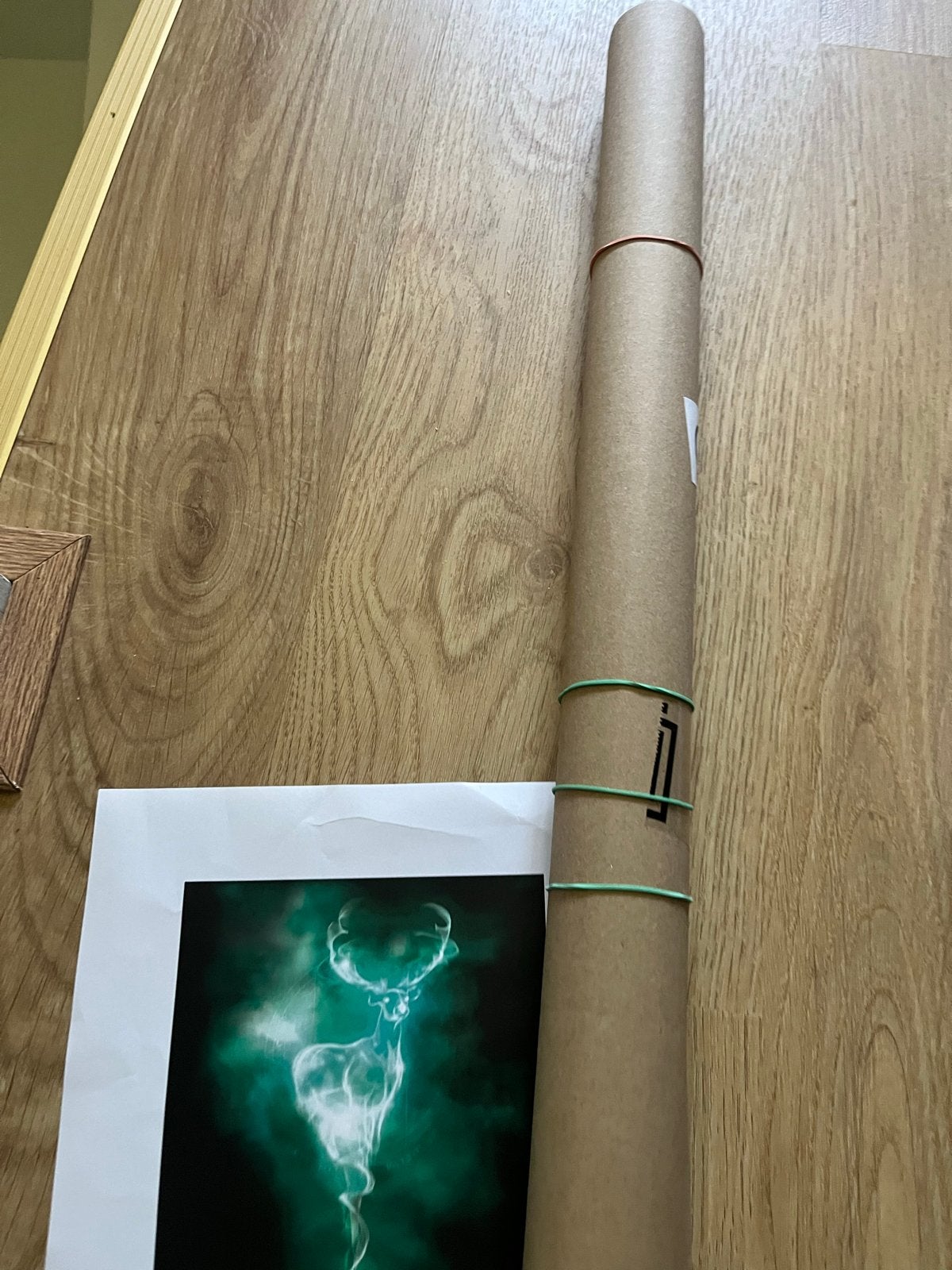 Nieuwe Harry Potter Poster - Patronus Herten, Rechthoekig Staand, Nieuw, Ophalen of Verzenden, A1 t/m A3