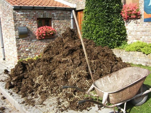 Gevraagd: lading stalmest, Tuin en Terras, Aarde en Mest, Verzenden, Mest