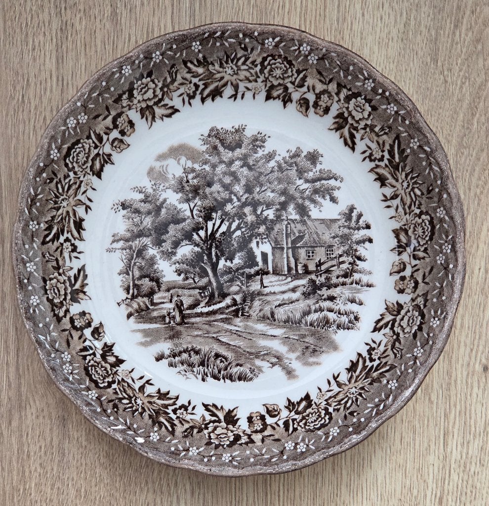 vintage decoratief bord van W.H. Grindley & Co. Ltd., Ophalen of Verzenden
