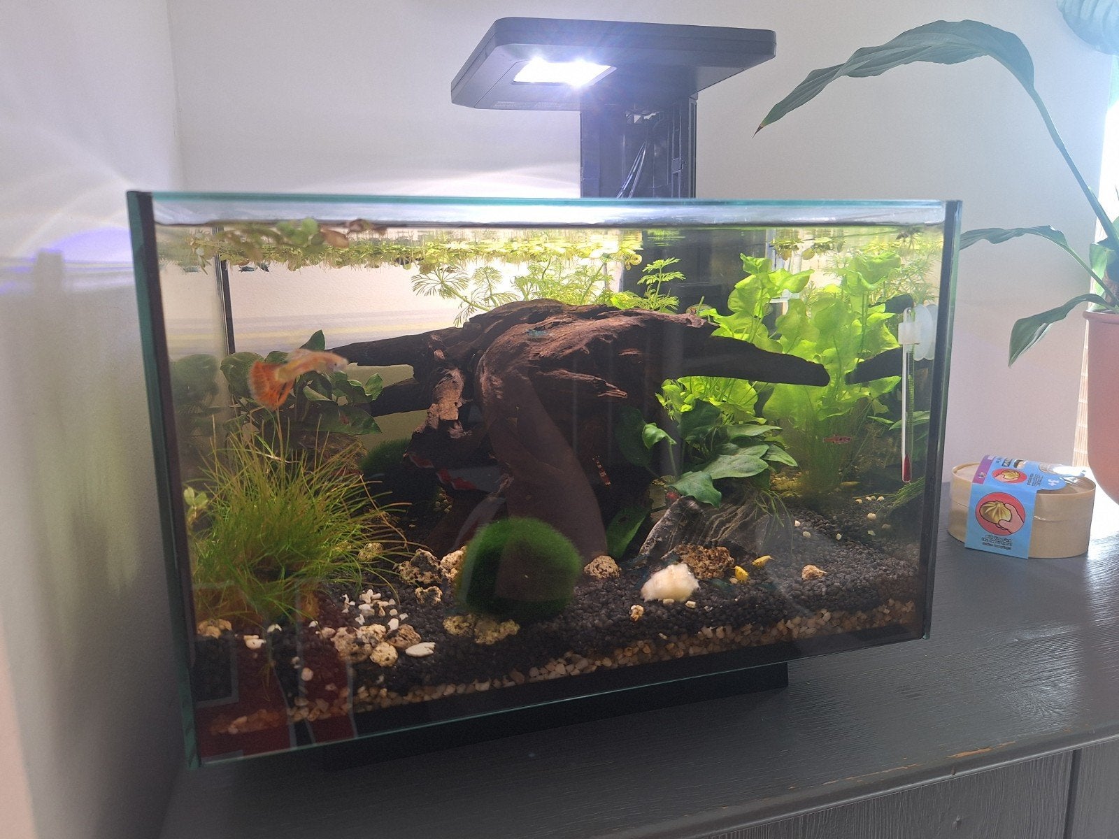 Aquarium Superfish Qubiq 20, Ophalen, Zo goed als nieuw, Leeg aquarium, Superfish