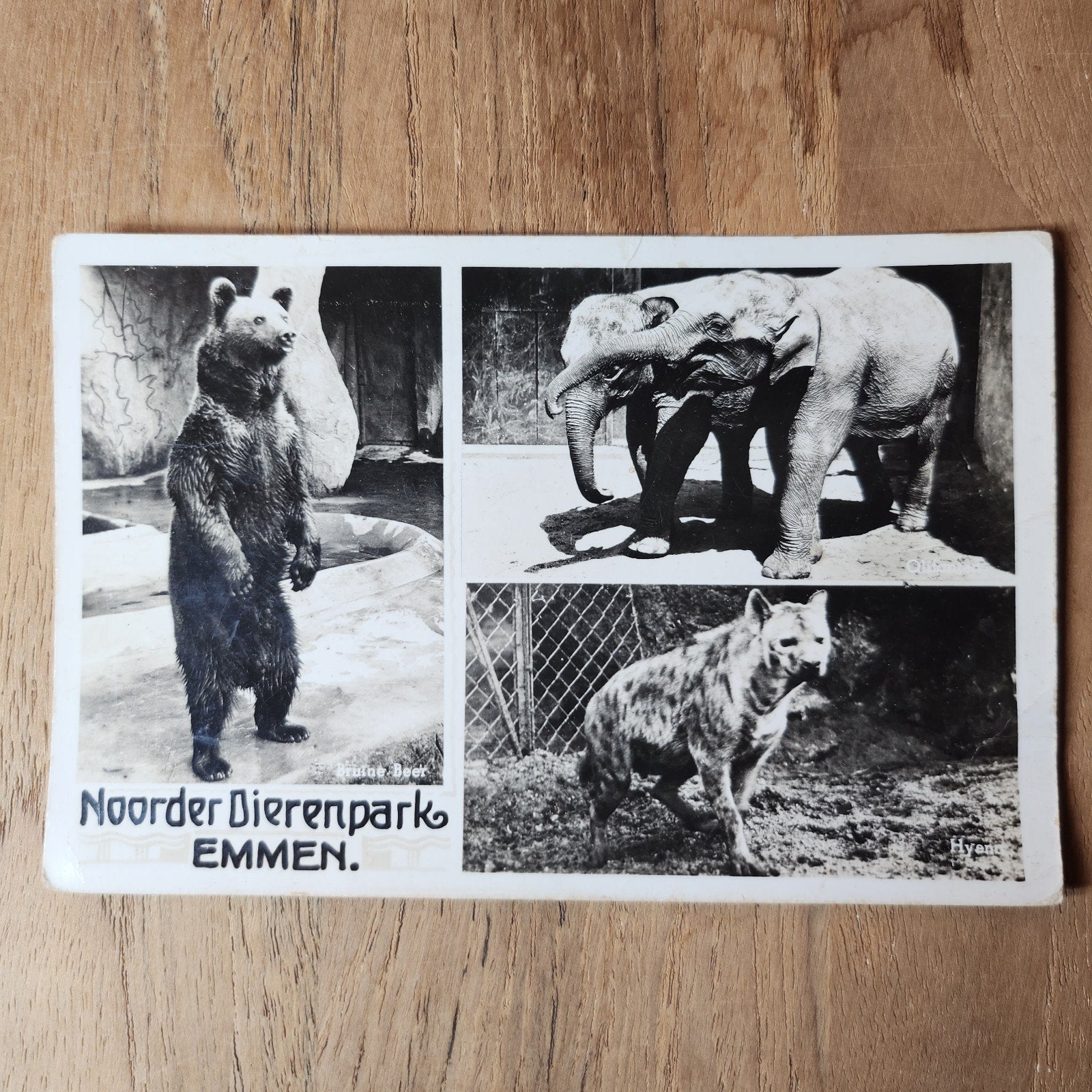 Oude Ansichtkaart Noorder Dierenpark Emmen, Verzamelen, Verzenden, Gelopen, Drenthe