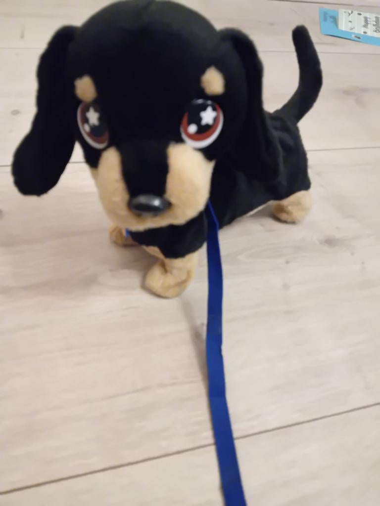 Speelgoed hondje dat loopt, Ophalen of Verzenden
