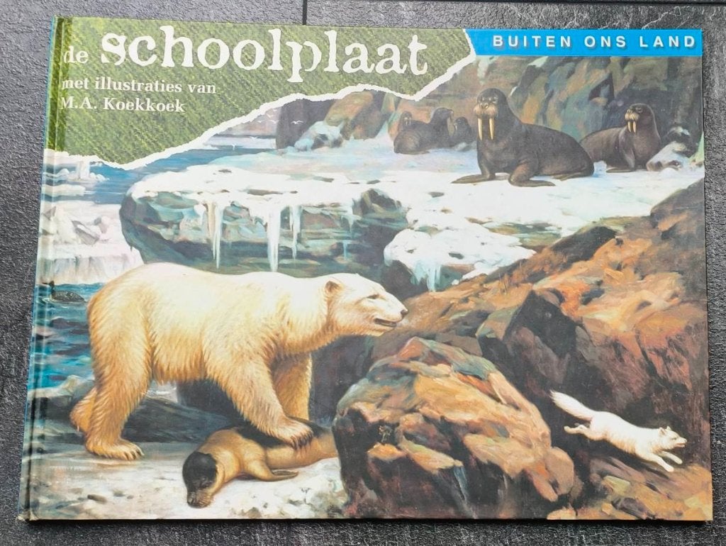 Boek De Schoolplaat - Buiten ons land, Boeken, Natuur, Ophalen of Verzenden, Nieuw, Natuur algemeen