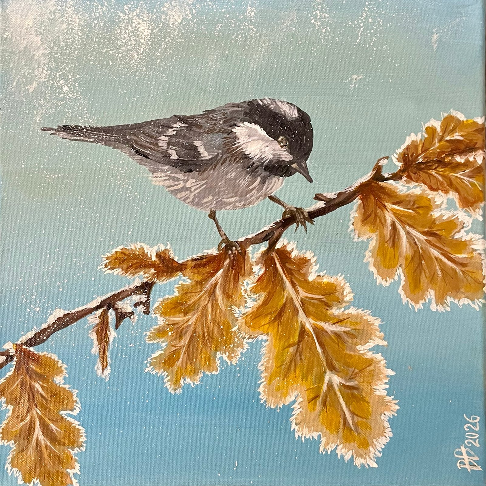 Musje op een rijpbedekte tak - Olieverf 40x40 cm, Ophalen of Verzenden