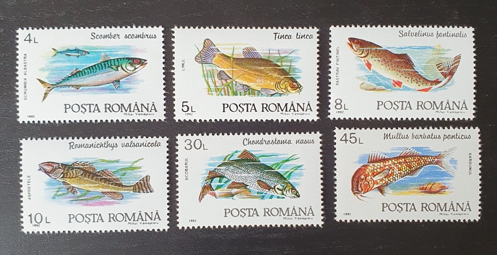 Roemenie 1992 Vissen Dieren Michel 4776-4781 postfris, Verzenden, Postfris, Dier of Natuur