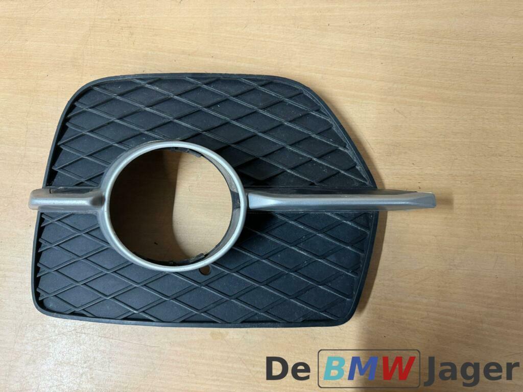 Bumperrooster links voor BMW X6 E71 E72 51117188383, Gebruikt, Ophalen of Verzenden, BMW, BMW