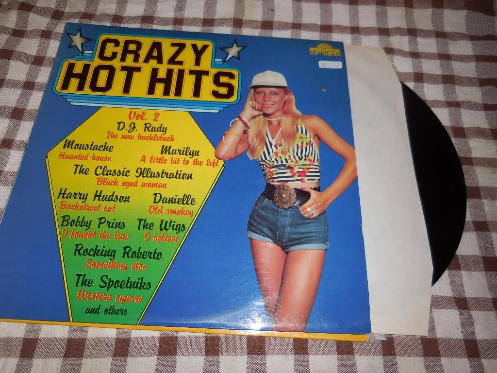 verzamel lp's nederlands / vlaams, Ophalen of Verzenden, Gebruikt, 12 inch