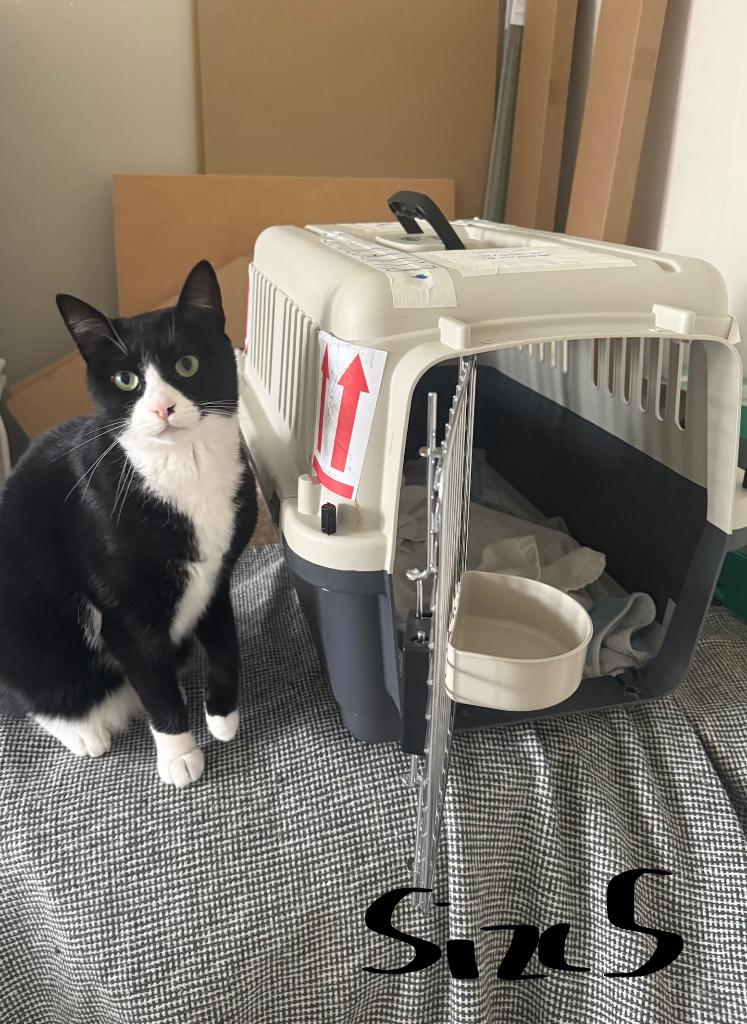 Pet carrier/ transport box, Dieren en Toebehoren, Transportboxen, Zo goed als nieuw, Ophalen