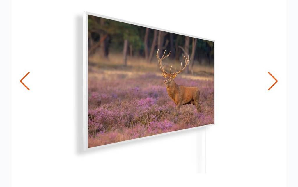 Könighaus gouden herfst Editie B-kwaliteit