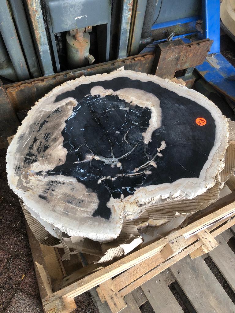 Versteend hout waskommen wasbakken wastafels riverstone sale, Ophalen, Minder dan 50 cm, Nieuw, Minder dan 25 cm