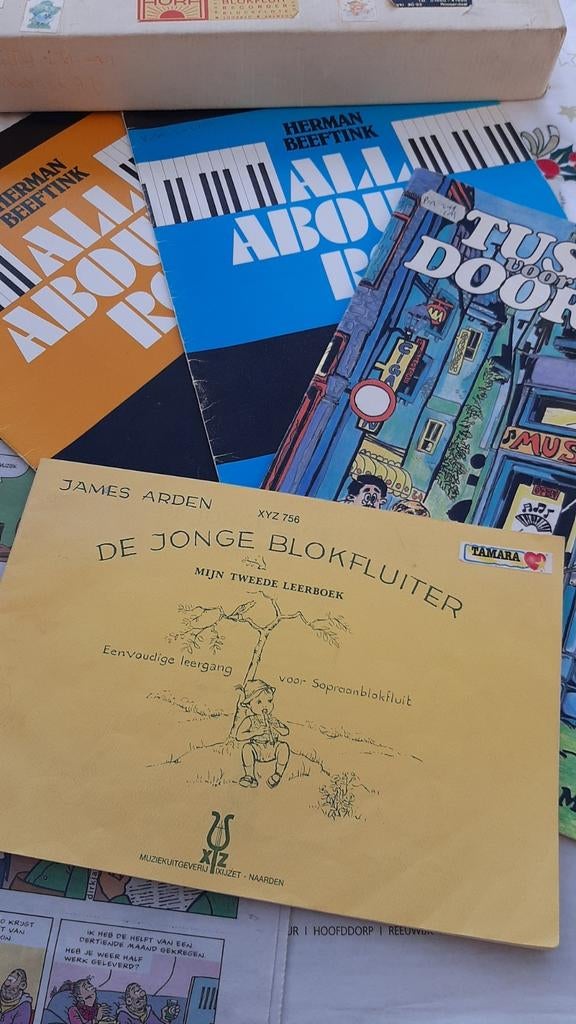 Fluit, Muziek en Instrumenten, Blaasinstrumenten | Blokfluiten, Ophalen of Verzenden