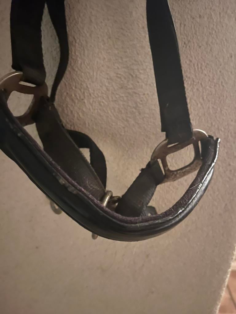 Paarden halster, Dieren en Toebehoren, Ophalen of Verzenden, Gebruikt, Overige soorten