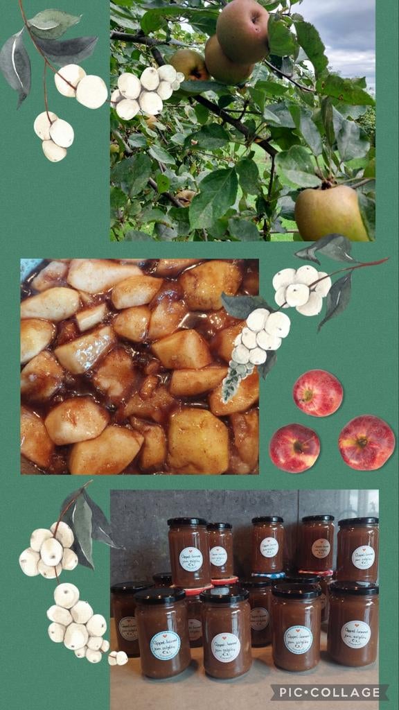 Appel-kaneel jam - biologisch, Diversen, Levensmiddelen, Ophalen of Verzenden