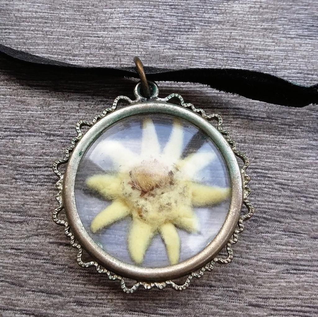 Antiek om1950 Hals Sieraad Hanger EDELWEISS Bloem Medaillon, Sieraden, Tassen en Uiterlijk, Antieke sieraden, Ophalen of Verzenden