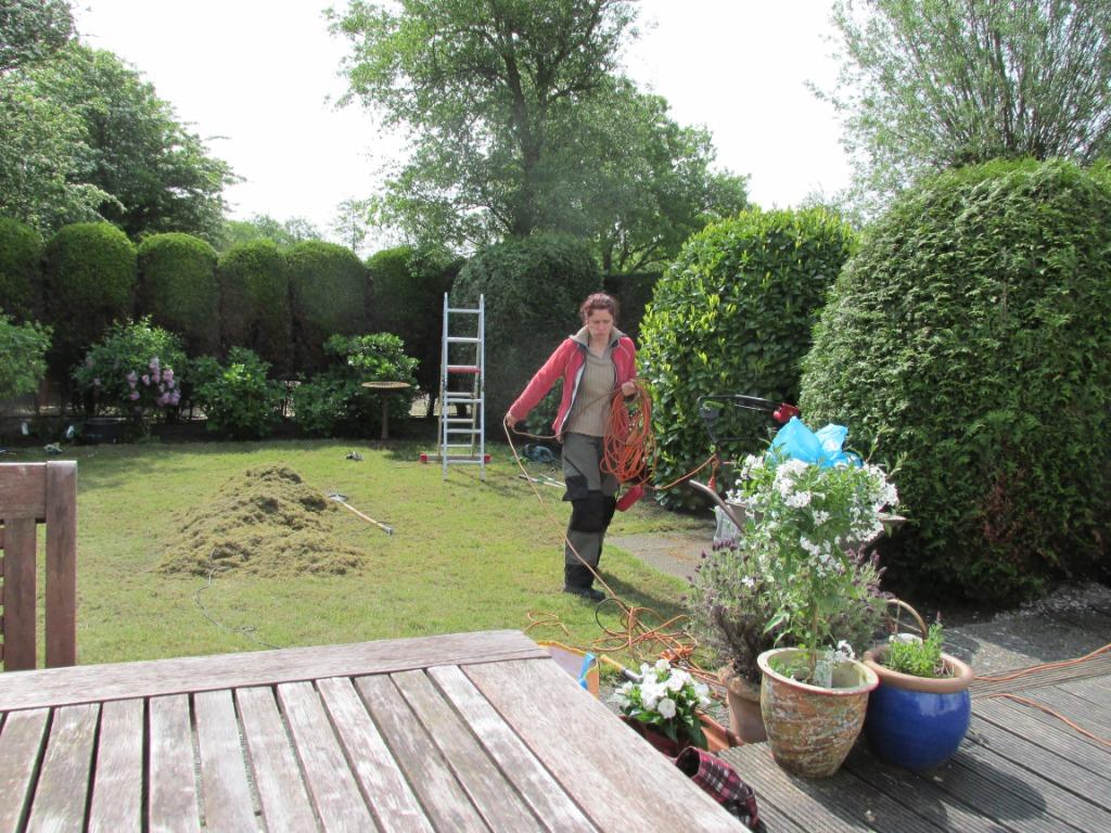 Tuinonderhoud, snoeiwerk, terras en tegels reinigen, Garantie, Tuinonderhoud of Snoeiwerk