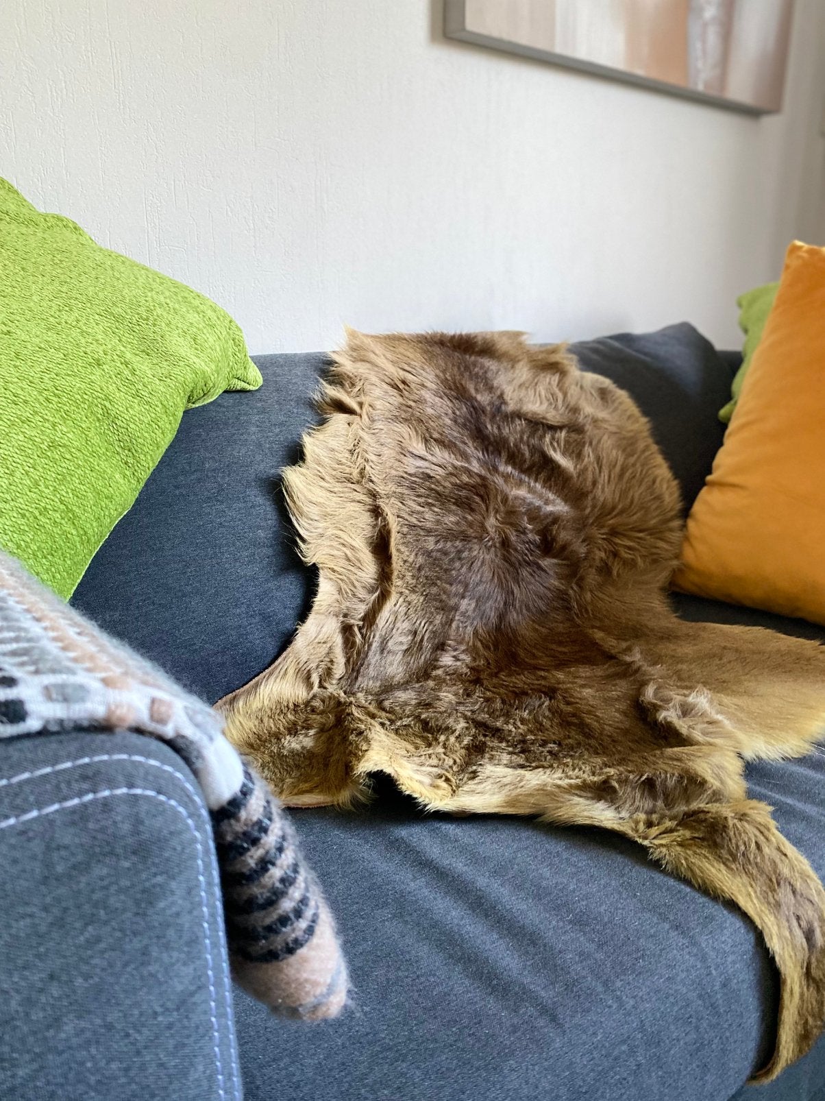 Kangoeroehuid Authentieke Australische, Nieuw, 80 cm, Overige typen, 80 cm