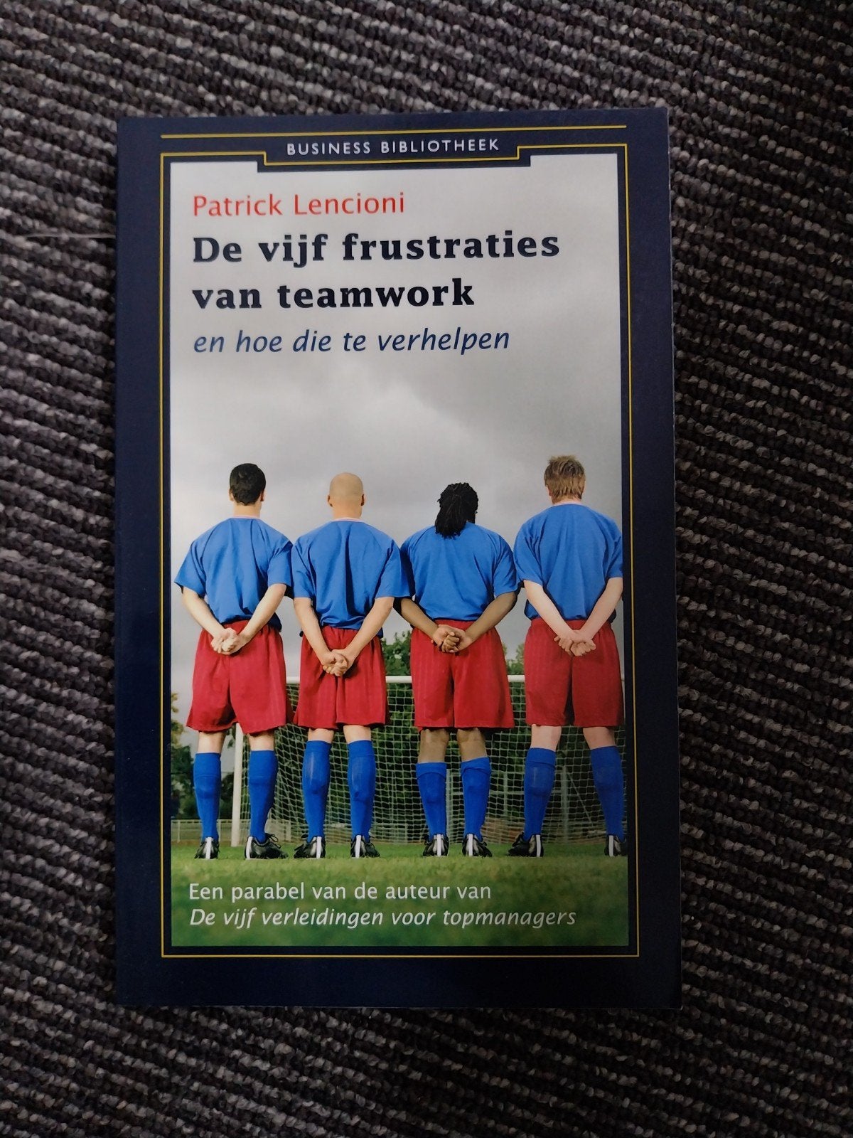 De vijf frustraties van teamwork - Patrick Lencioni, Ophalen of Verzenden, Gelezen, Patrick Lencioni, Nederland
