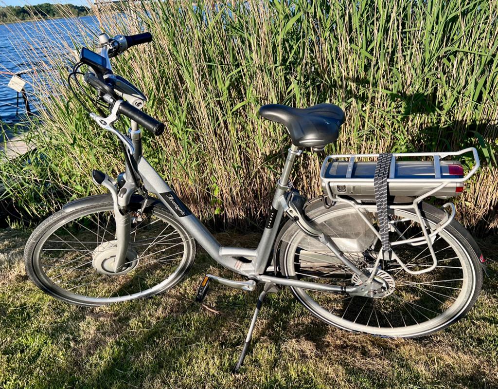 Sparta Avantgarde elektrische fiets met lage instap, Ophalen, Gebruikt, 50 km per accu of meer, Sparta