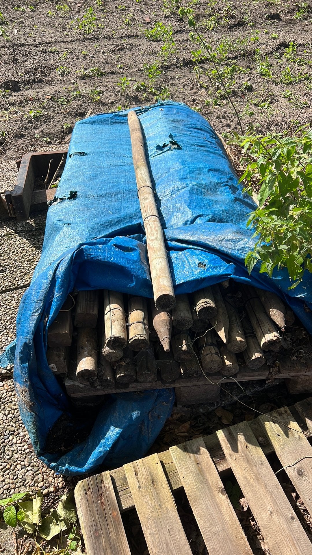 Houten paaltjes gratis, Ophalen, Zo goed als nieuw, 15 m² of meer, Zeil